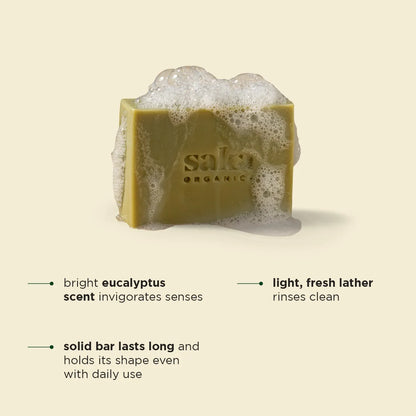 Alpine Whisper Eucalyptus Camphor Bath Soap infused with Shea Butter