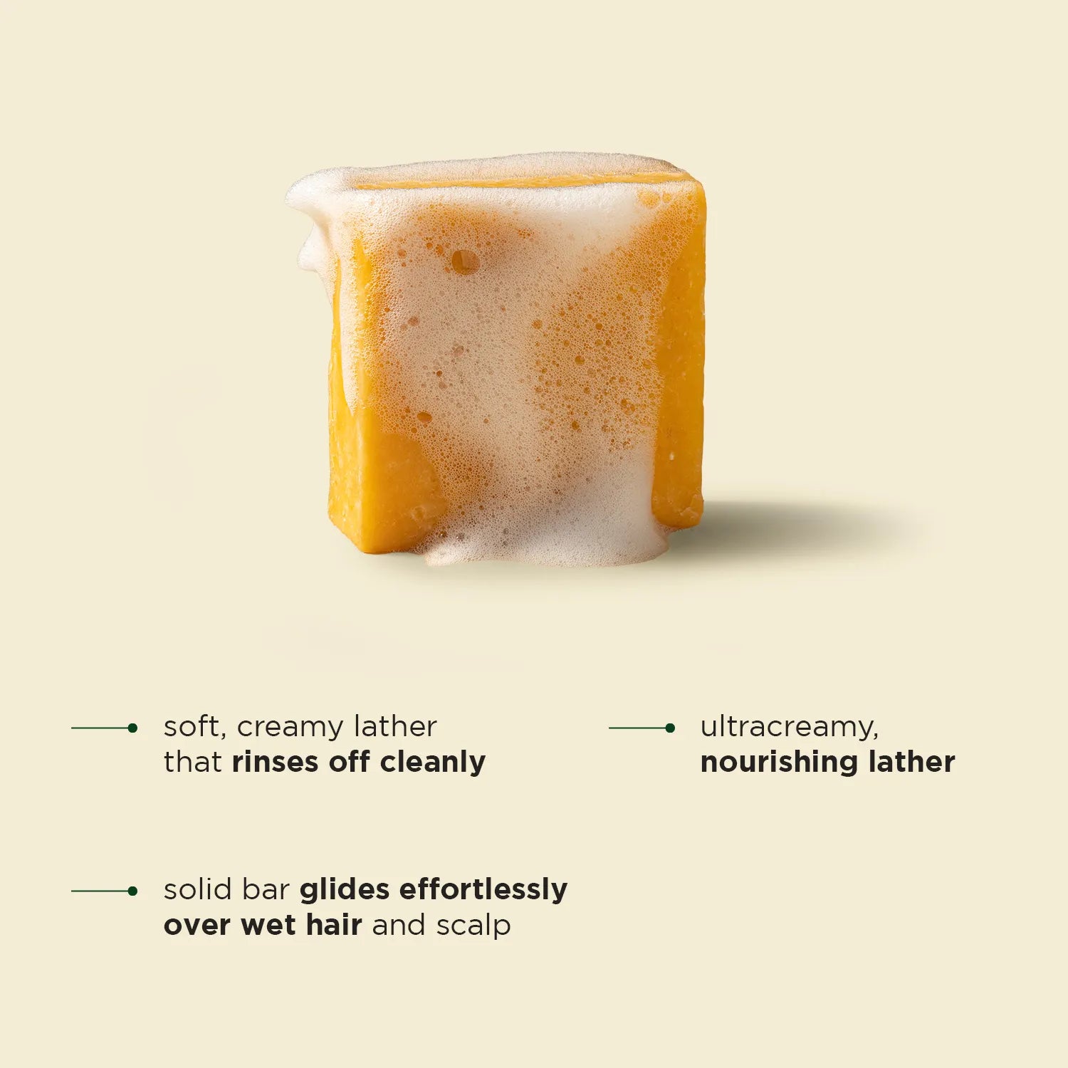 Shampoo Bar for Dry Hair